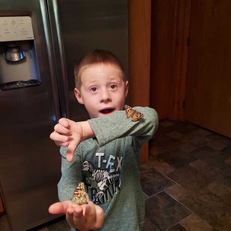 Young boy standing in a kitchen with two butterflies, one on one hand and one on the other elbow