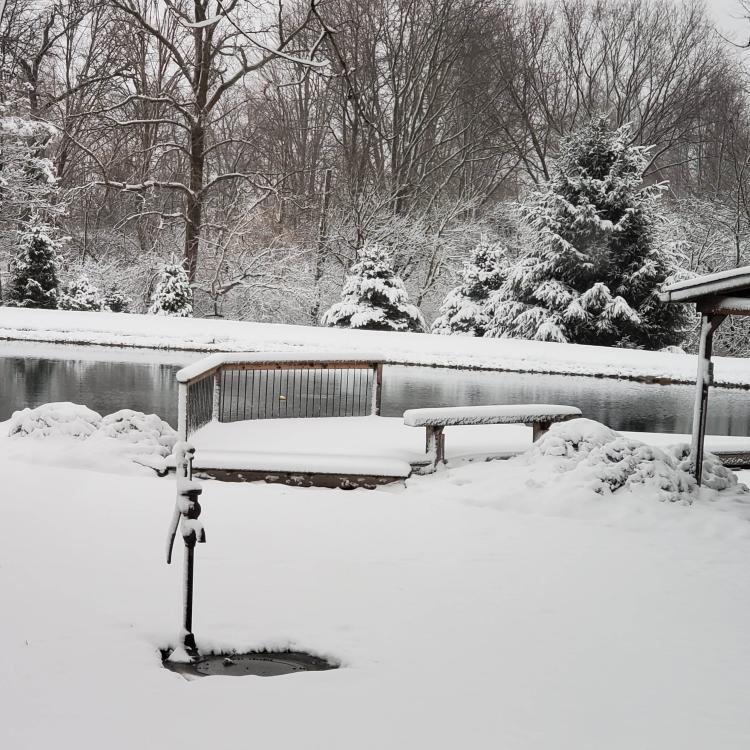 pond surrounded by snow