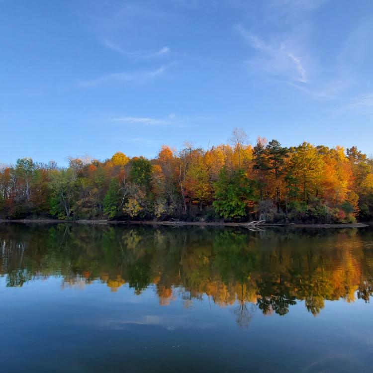 fall forest reflecting on lake