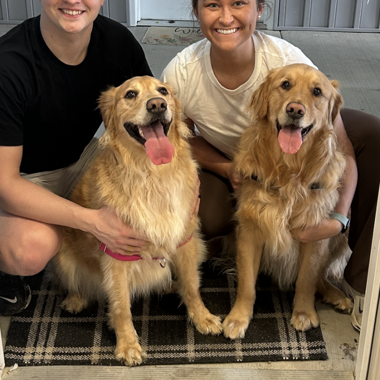 man and woman with two smiley golden dogs