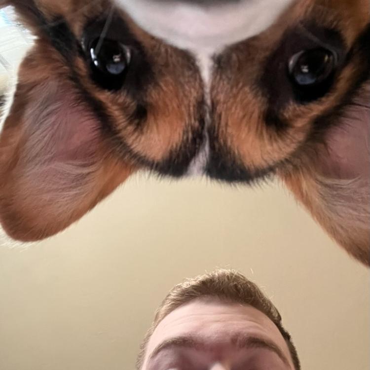 man and dog looking down at camera