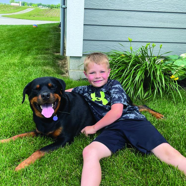 boy sitting in grass with black and brown dog