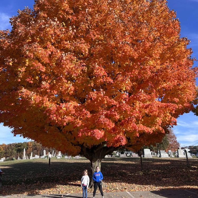 two girls in front of giant tree with red/orange leaves