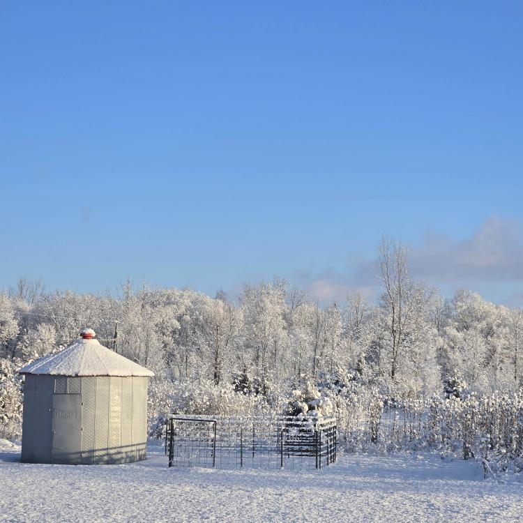 snowy farm scene