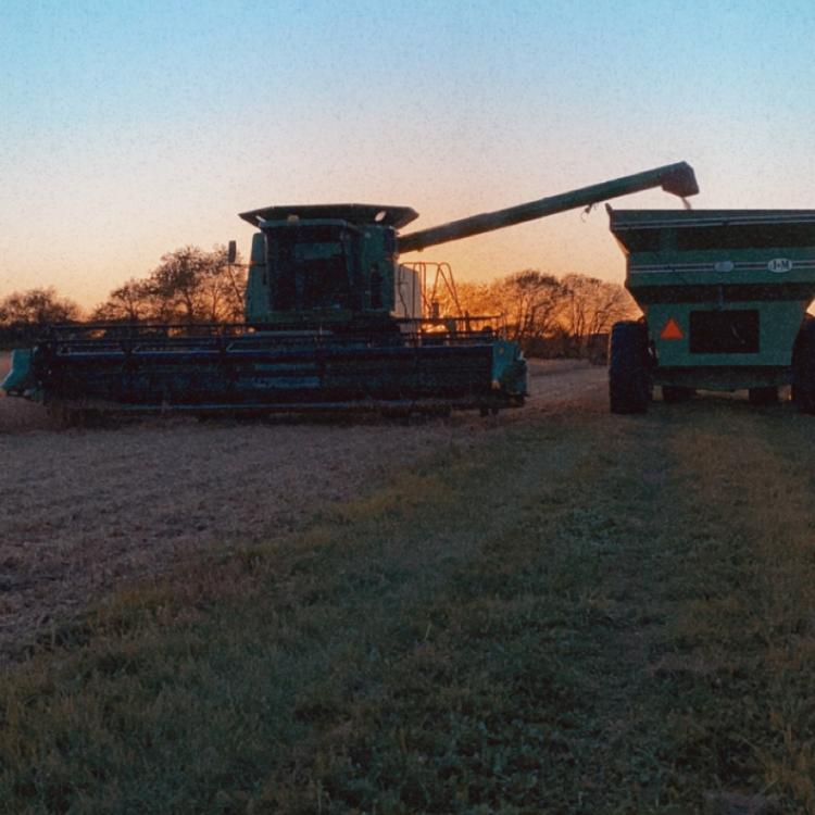 harvest machinery in front of fall trees