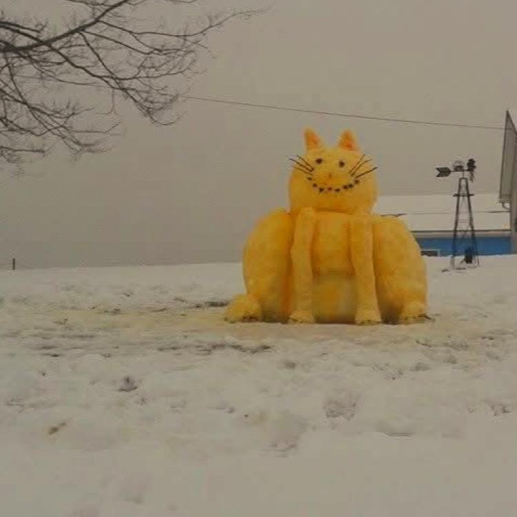 cat sculpture made of snow