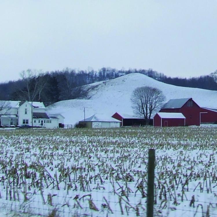 farm in the snow