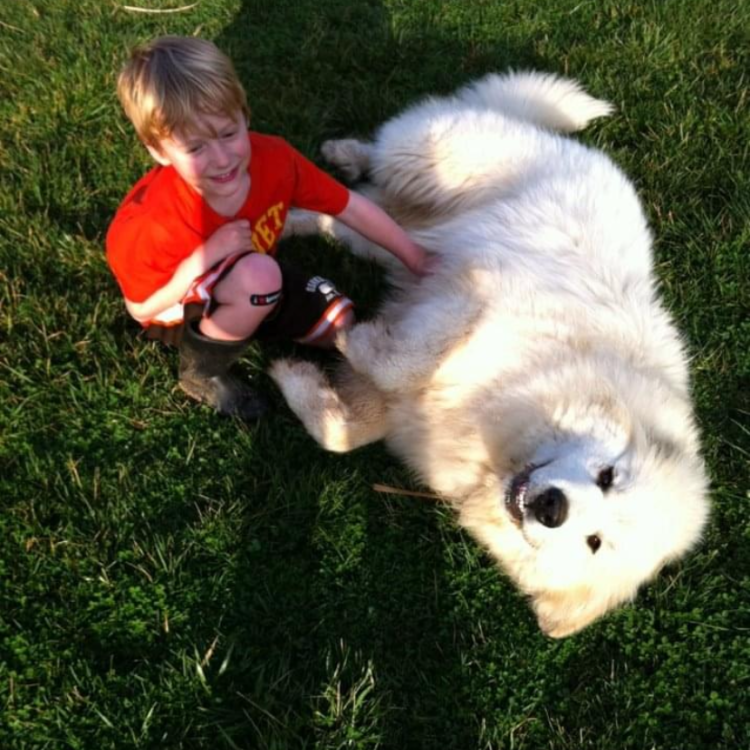 child and dog in grass