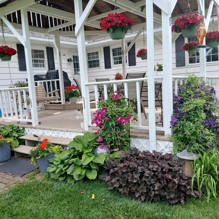 flowers around covered deck