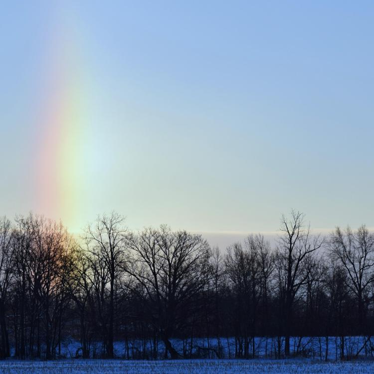 vertical rainbow over snowy woods