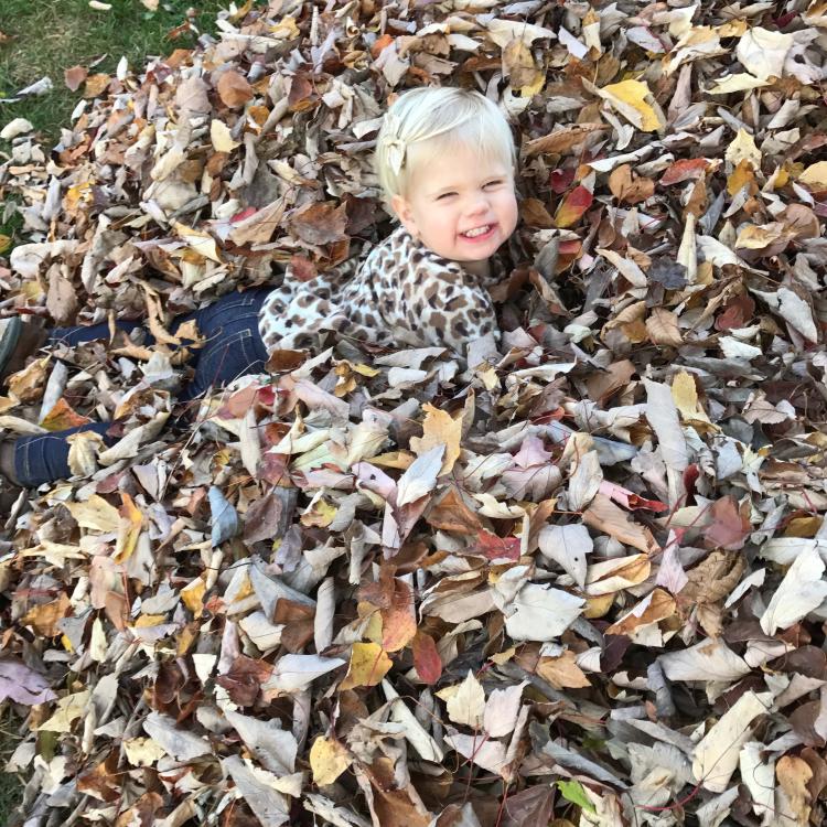 little girl in leaf pile
