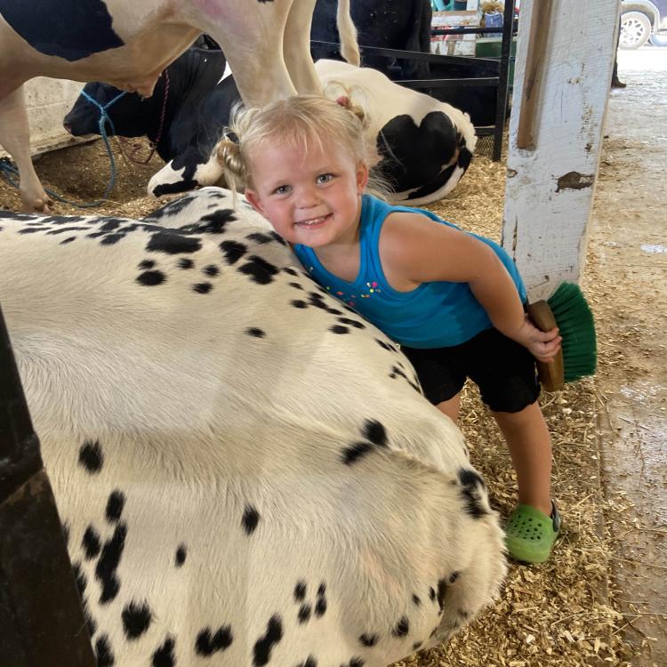little girl with spotted steer