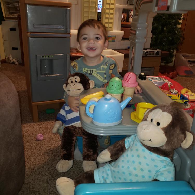 little boy having tea party with stuffed monkeys