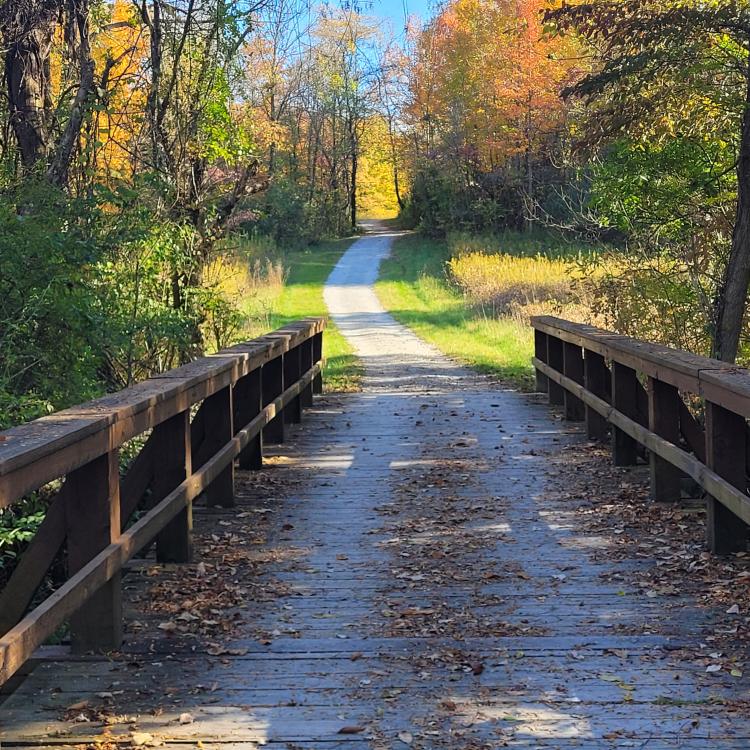 bridge on trail with fall trees