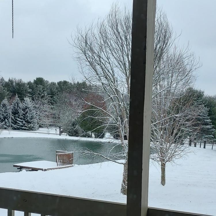 snowy scene around pond