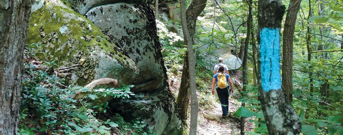 Two people walk on The Buckeye Trail.