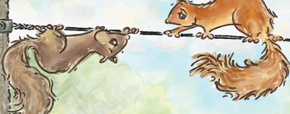 A cartoon squirrel hangs from a wire and stares at another squirrel staring at it from above the wire.