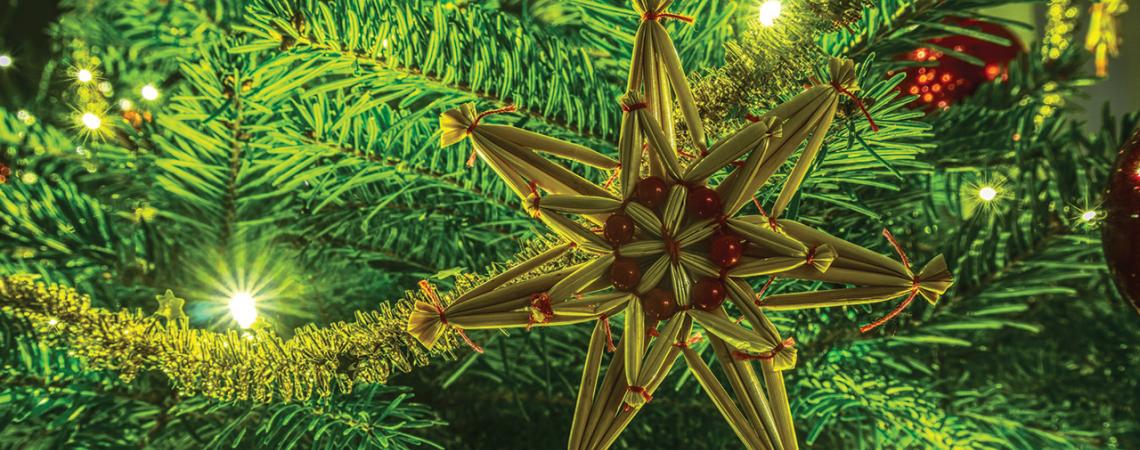 A close-up of an ornament on a lit Christmas tree.