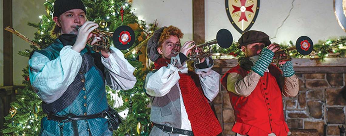 Yuletide Village, Seasons of Lights, Renaissance Park, Waynesville (Photo courtesy of Checkmate Photography/Yuletide Village)