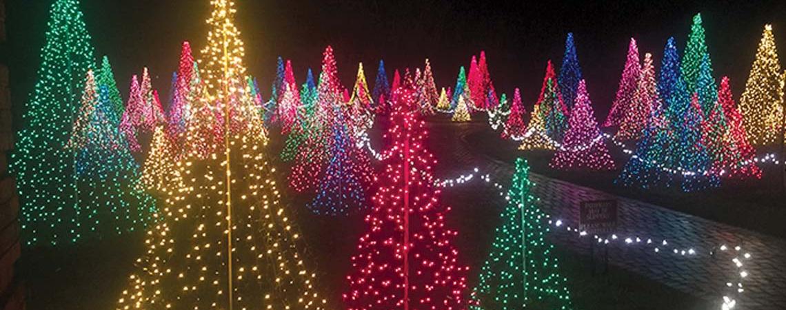 Christmas at Kingwood, Kingwood Center Gardens, Mansfield (photo courtesy of Kingwood Center Gardens)