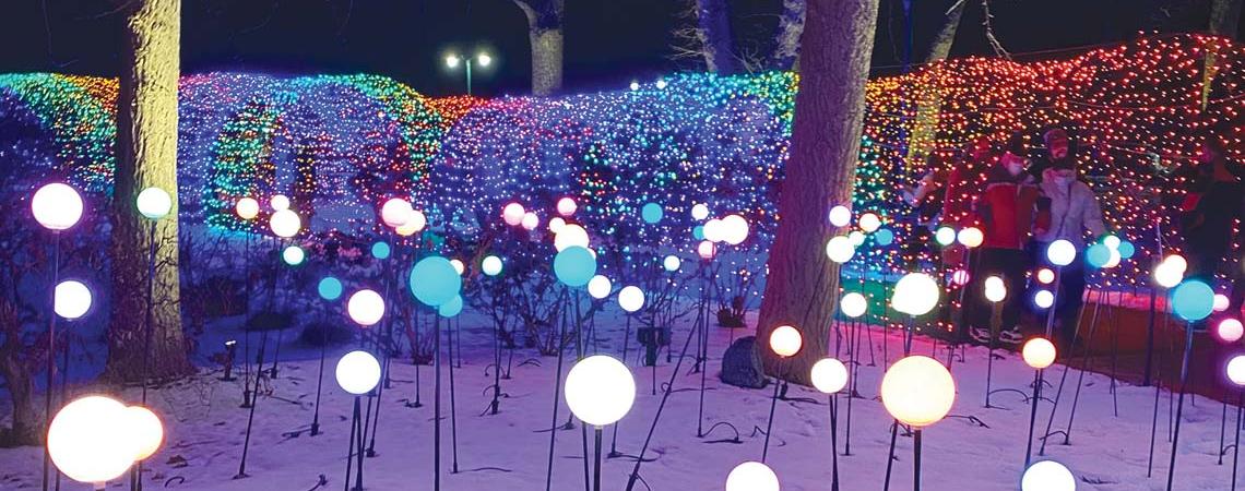 The nighttime exhibit has grown over the last several years and now features 13 acres of outdoor lighting.