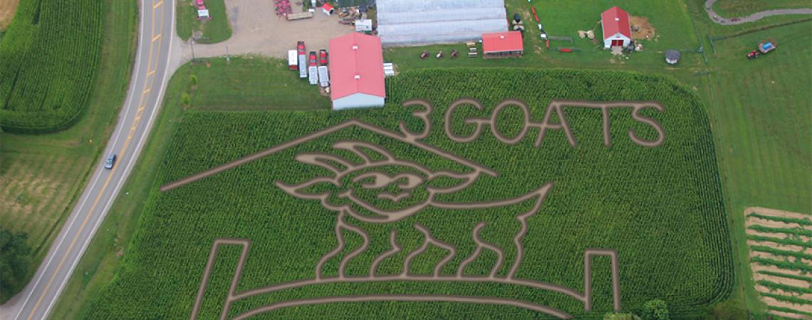 This year’s maze theme at McDonald’s Greenhouse was inspired by the owner’s son, who raises goats.