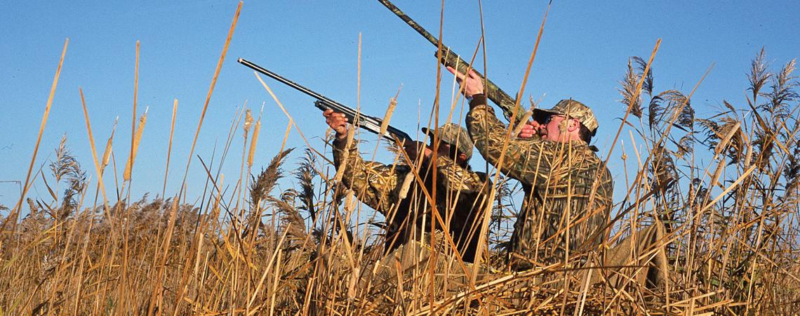 Had it not been for Ohio’s duck hunters, much of Ohio’s marshland, which is so important to both birding and hunting today, may well have been lost to development.