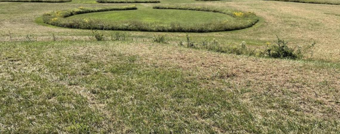 The National Park Service uses interpretive mowing to show the size and scale of the now-eroded structures at Hopeton Earthworks north of Chillicothe (photograph courtesy of John Hancock via the Ohio History Connection).