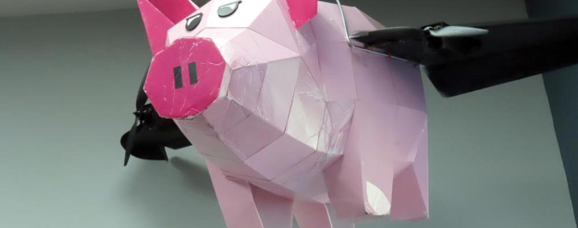 A 3-D printed pig airplane