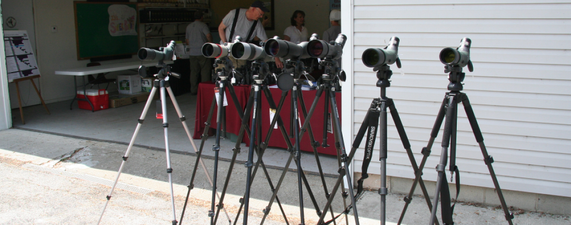 Birding telescopes on display