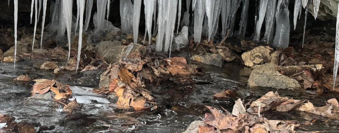 A collection of icicles, which might be considered both stalactites and stalagmites, forms in a shallow southern Ohio cave.