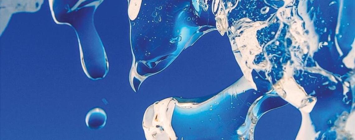 As late-winter ice melts, the form of an eagle lands on East Harbor.