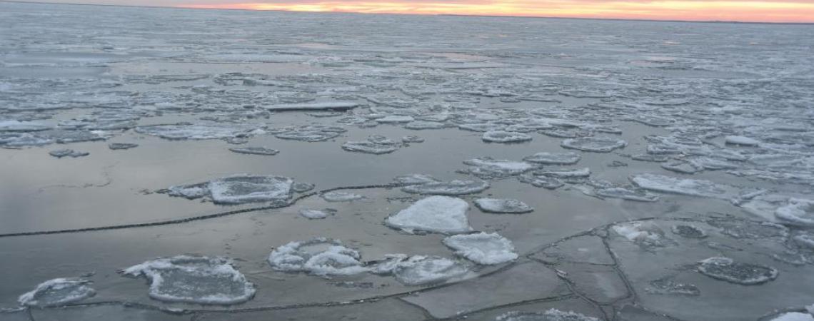 Pancake ice forms on Lake Erie during a late-winter thaw, with rounded, raised edges. Here it has refrozen into a sheet of new ice.