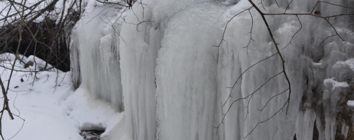 Spring water erupting from rock faces at Highlands Nature Sanctuary freezes into some majestic frozen falls.