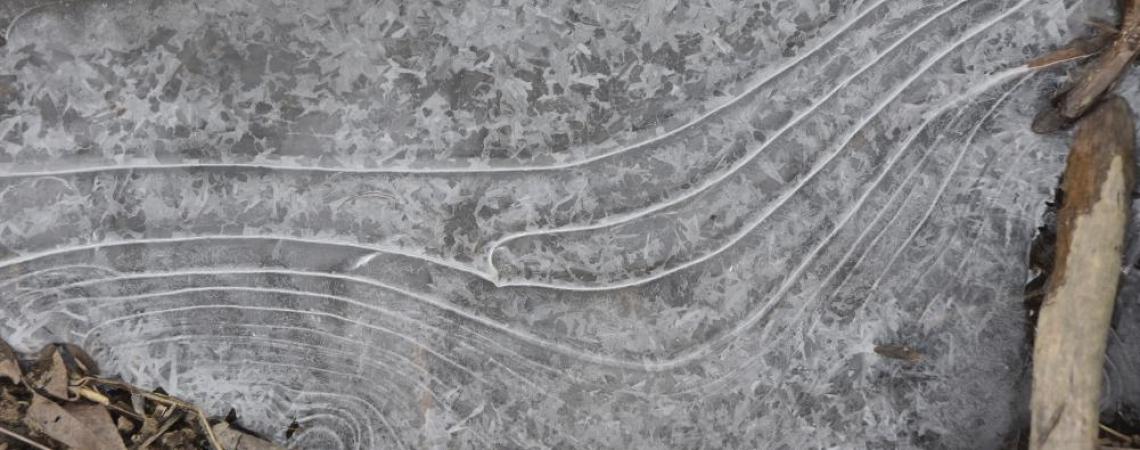 The lines on this ice on the canal in Cleveland are reminiscent of a topographical map.