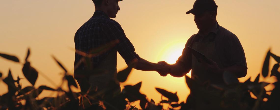 the silhouette of two people shaking hands in a farm field