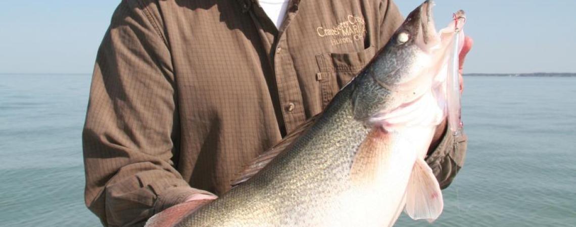 A man holding a walleye on Lake Erie