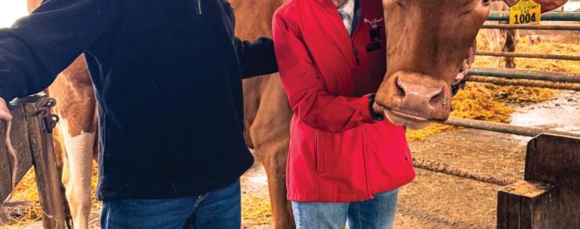 A man and woman posing with a dairy cow