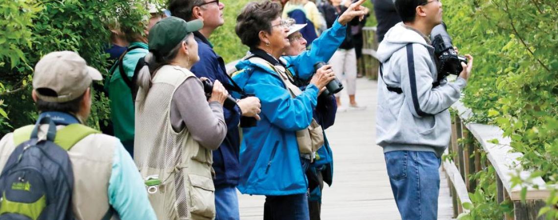 A group of birdwatchers