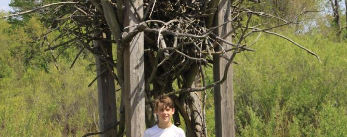 A child standing with a replica of a large eagles nest
