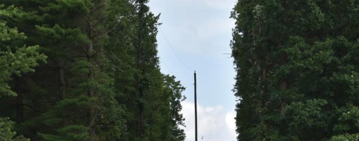 A right-of-way after trimming.