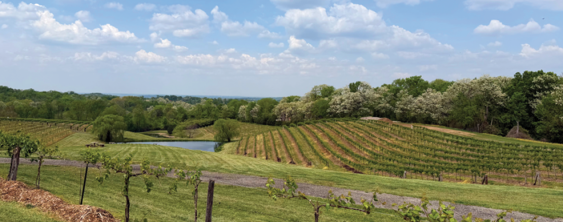 Vinoklet Winery