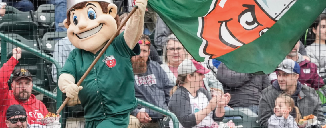 For Wayne TinCaps mascot at a game